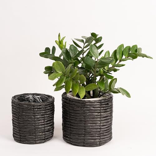 NEERGREVE 2er Set Wasserhyazinthe Pflanztopf Indoor für Pflanze Blumentopf Sukkulenten Topf Korb Übertopf Deko Topfabdeckung