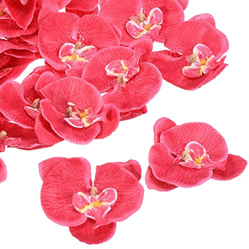 PATIKIL 10cm/3.9 Artificial Orchid Flower Heads, 20 Pack Silk Phalaenopsis Fake Butterfly Orchid Heads for Wedding Floral Bouquet Decor DIY Craft Making, Fuchsia