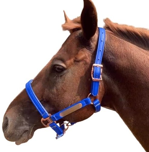QYMLSH Anatomische Pferdezäume Mikrofaser-Leder-Messingzäume für Pferde Gebissloses Zaumzeug Verstellbar Weich Und Langlebig (Color : Blue, Size : L)