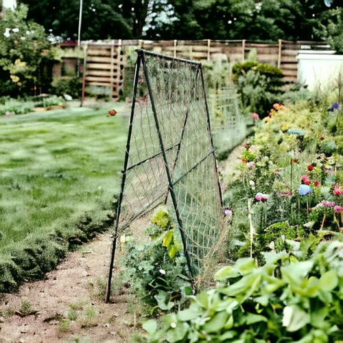 Eazilife Cadre de haricot de jardin pour plantes grimpantes, légumes, fleurs - Structure de support avec filet en jute naturelle - 100 cm de large x 180 cm de haut x 100 cm de profondeur - Tubes verts
