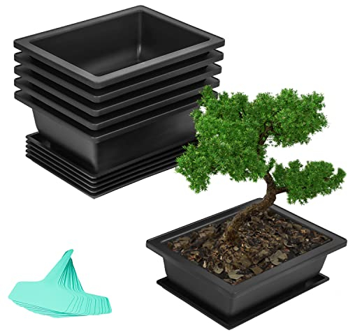 BELLE VOUS 6 STK Trainings-Bonsai Topf & Feuchtigkeits-Bonsai Schale Set - 16,5 x 22,5cm - Kunststoff Blumentopf mit Untersetzer & Eingebautem Netz - Für Bonsai, Blumen & Sukkulenten - Haus & Garten