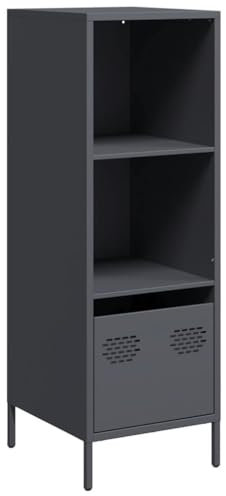 HEFZGDB Highboard Anthrazit 35x39x103,5 cm Stahl Beistellschrank Küche Buffetschrank Küche Flurschrank Vorratsschrank Küche für Dessert Shop Küche Speisesaal Café