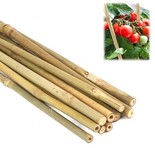 Lot de 10 tuteurs en bambou naturel de 40 cm pour tomates, haricots, fleurs et arbres, tuteurs pour plantes en pot et plantes grimpantes