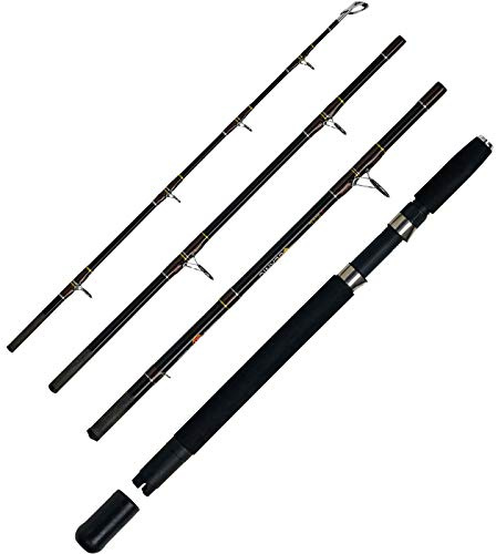 WFT Angelrute Tidec 30lbs 2,10m 4Stk. Brandung