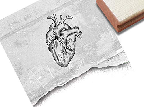 Stempel Anatomisches Herz - Motivstempel Medizin Schule Liebe Valentinstag Hochzeit Karten Scrapbook Bullet Journal Basteln Kunst Deko - zAcheR-fineT (klein ca. 33 x 49 mm)