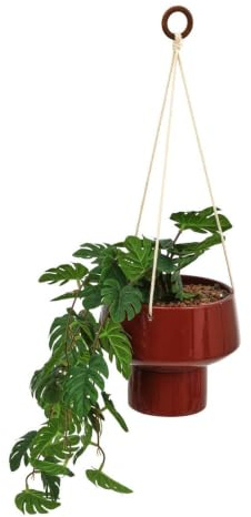 Atmosphera - Planta Colgante homy h. 80 cm - Roja
