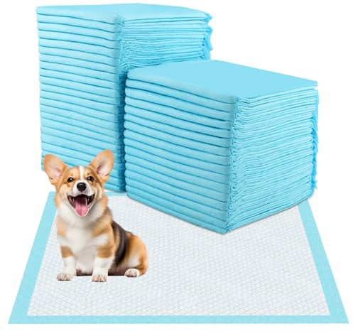 Foydream Welpen Unterlagen,40 Stück PIPI Matten für Hunde 60 x 60 cm Trainingspads Auslaufsicheres 6-lagiges Design mit Schnell Trocknender Oberfläche