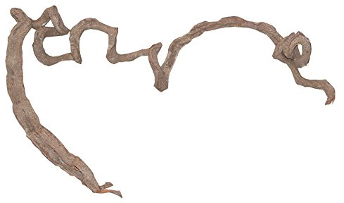 Lucky Reptile Corkscrew Liane Medium, 80-120 cm