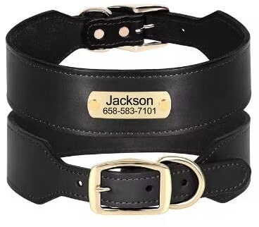 Breites Personalisiertes Hundehalsband,Individuelle,Langlebige Halsbänder Für Mittelgroße Und Große Hunde,Windhund,Mit Eingraviertem Namensschild,Schwarz,XL