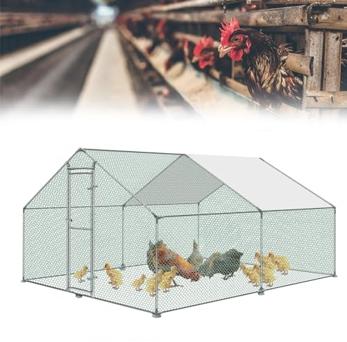 HENGMEI Hönshall 3 x 4 x 2 m utomhuskapsling, bur, litet djurstall, galvaniserat stål, kycklingbur med PE-tak, utomhus, hage med lås, fjäderfähage