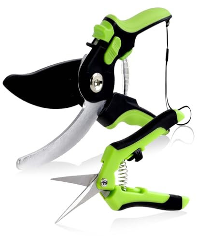 CXRYLZ-FUR Gartenschere Set 2-tlg, 210mm SK5 Bypass Profi Baumschere & 160mm Rosenschere, Pflanzenschere Blumenschere Trimmschere für Gartenwerkzeug Gartenliebhaber Schnittblumen Floristikbedarf