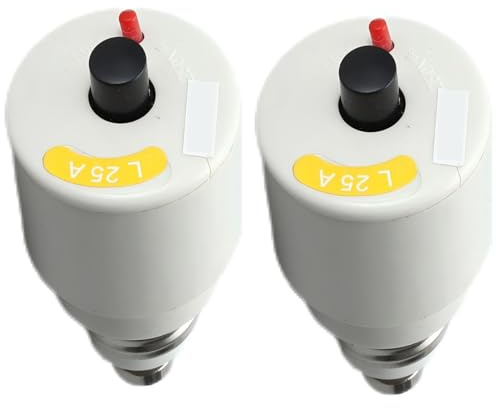 GERUI 2 PCS Schraubautomat (Sicherung für alte Elektroverteilung), Kontakt Sicherungs Schraubautomat 25A europäisches Qualitätsprodukt, Weis