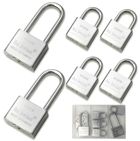 YYMT Set 6 Pezzi Lucchetti di Sicurezza con Chiavi - 4x30mm Archetto Corto + 2x40mm Archetto Lungo, Impermeabile e Antiscasso per Cancelli, Garage, Magazzino, Recinzioni, Armadi, (Argento)