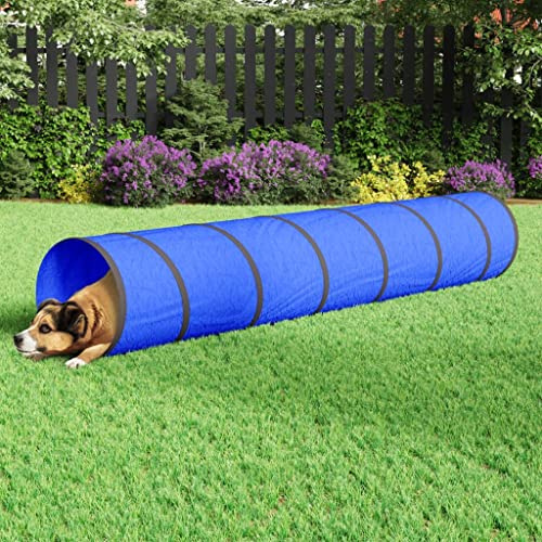 Hundtunnel lektunnel för inomhus- och utomhusbruk, 40 x 200 cm polyester med bärväska och pinnar, perfekt för hundar, katter och kaniner för att krypa, klättra och gömma