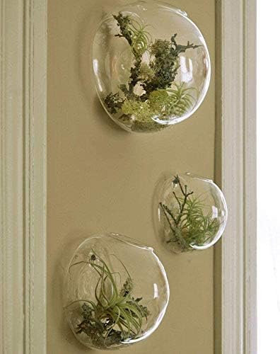Suckulentväxter Väggplanterare Terrarium 3 Kit, Inomhus Trädgård Heminredning Luftväxter Hållare Hängkrukor Väggmonterad Vas Vattenkorgar Klart Glas Vertikal Behållare För Miniväxt, Ört, Kaktus,Kl