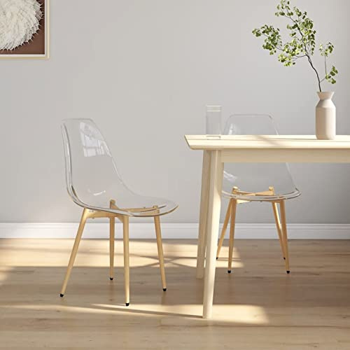 ZEYUAN Esszimmerstühle 2 STK. Transparent PET, Modern, Essstuhl, Esstisch Stühle, Küchenstühle, Schlafzimmerstuhl, Dinning Chair, Konferenzzimmer Stühle, Ergonomisch, Metallbeine