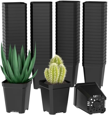 100 PCS Kunststoff Anzuchttöpfe Eckig 5.5 CM, Anzuchttöpfe Klein Plastik mit Ablauflöchern, Pflanztöpfe Anzucht, Kleine Blumentöpfe Anzuchttopf für Stecklinge, Umpflanzen, Gemüse, Sukkulenten