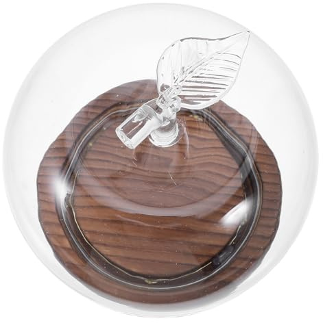 Cabilock Cloche en Verre Petit Format avec Socle en Bois Ancien Lumineux, Dôme Protecteur Transparent pour Décoration Intérieure et Objets Décoratifs – Accessoire Déco Maison Polyvalent