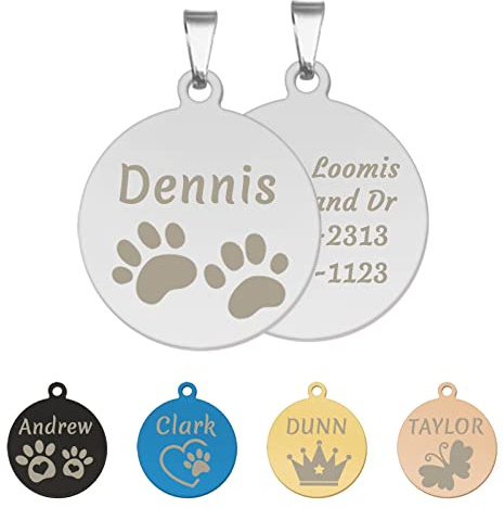 CAMAL Chapa Perro Grabada, Placa Perro Grabada Acero Inoxidable, Redondo Chapas Personalizadas para Collar Perro Gato Mascota con Pequeños Iconos, Disponible en 2 Tamaños y 5 Colores (25mm, Plata)