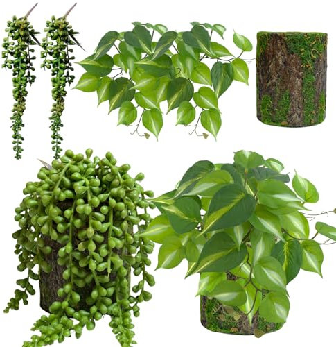 ASTRYAS Paquete de 2 plantas artificiales en maceta, hiedra sintética, cadena de perlas, suculentas en macetas para regalo, escritorio, mesa, estante, alféizar de ventana, interior, exterior, hogar,