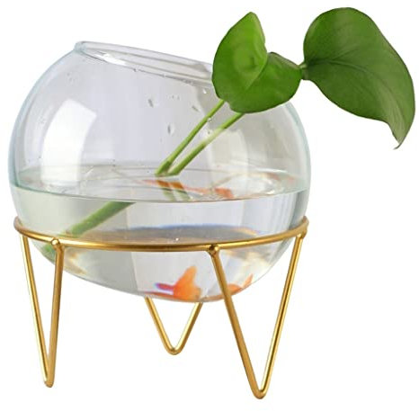 Support créatif en verre transparent pour aquarium, vase pour plantes aquatiquesm, vase pour plantes aquatiques, petit aquarium décoratif, aquarium pour bureau, maison, aquarium cool (11 cm)
