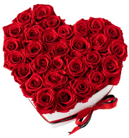 Infinity Flowerbox XXL Herz - 29 echte Premiumrosen in Rot - 3 Jahre haltbar ohne gießen | In Geschenkverpackung mit Satinschleife