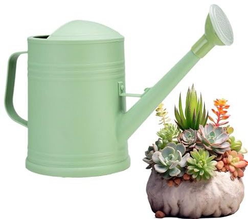 Annaffiatoio da giardino - Testa 'irrigatore con capacità di 2 litri inclusa, vaso per nebulizzazione fine con beccuccio lungo | Strumento decorativo per la cura delle piante da interno ed esterno