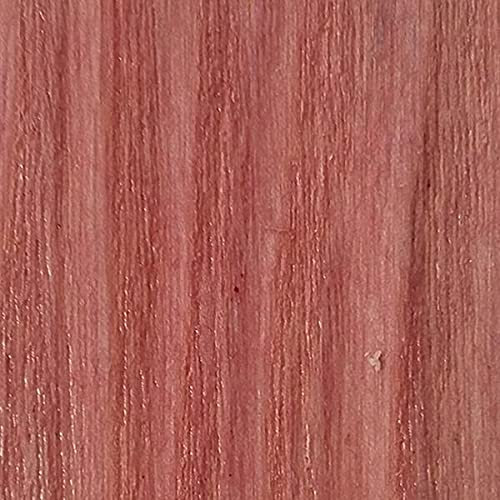 WooDeeDoo Water Based Wood Stain | Wood Dye | Ready to Use | Environmentally Friendly | Solvent Free | Odour Free | 450 ml | Pink