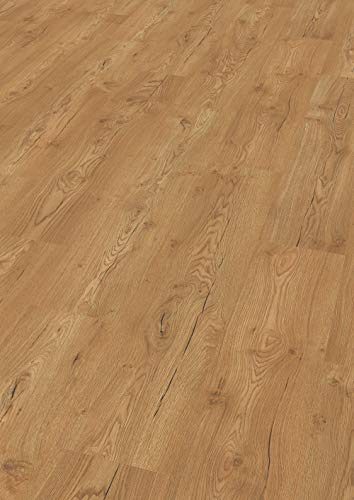 EGGER Limerick Eiche Honig Home Laminatboden EHL182 (8mm, 2,542m²) | authentische Holzoptik | | Einfache Verlegung durch CLIC It System | Praktisch & wertbeständig