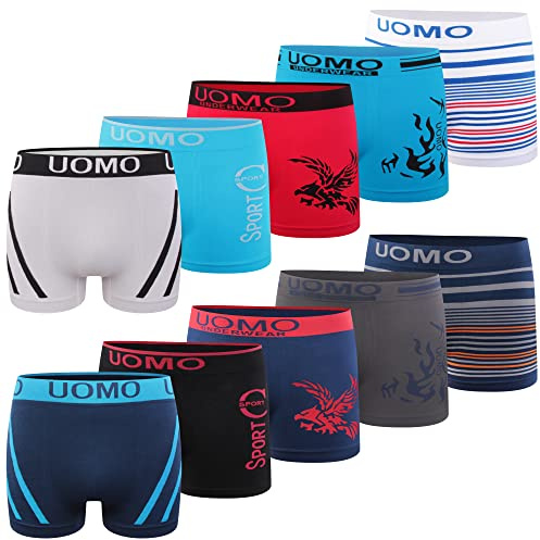 L&K 1209 Retroboxershorts för män i mikrofiber och med 10 olika modeller, 10-pack