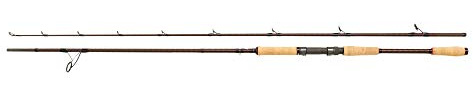 Abu Garcia Beast Pro Allround-Spinnrute – Spinnrute zum Hechtangeln