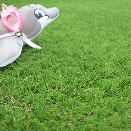 Gazon synthétique Valençay 25mm - Rouleau de 2m x 3.00m