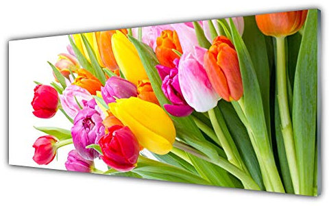 Tulup Glass Print Wall Art 125x50cm Image printed on Glass Decorative Wall Picture Tempered Safety Glass Kitchen & Living Room - Tulips Floral