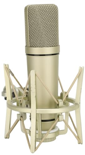 Annadue Microfono a Condensatore, Microfono a Condensatore Cardioide con Filo Metallico per Registrazione Vocale, Streaming di Podcast, Base Stabile Inclusa, Ampia Applicazione per Varie