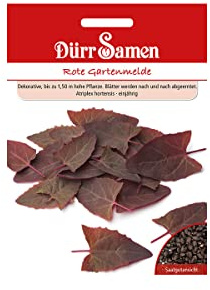 Dürr-Samen - Rote Gartenmelde Saatgut