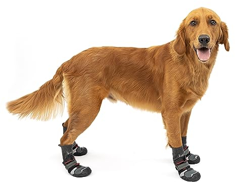 Kurgo Hundeschuhe Blaze Cross - Ganzjahres-Pfotenschutz - wasserfest, reflektierend, rutschfest - inkl. 2 Schuhe - Grau – M