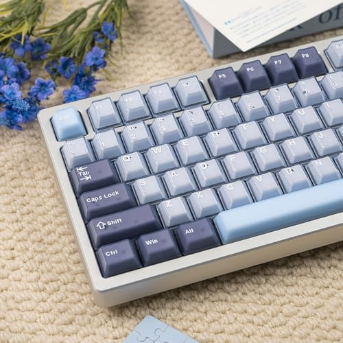 164 Tasten Transluzente Tastenkappen PBT Doubleshot Keycaps Set Fit für 61/64/87/104/108 Cherry Mx Schalter Mechanische Tastatur