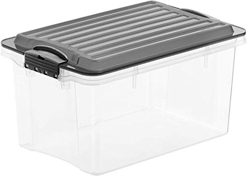 Rotho Compact Scatola Di Conservazione Con Coperchio, Plastica (Pp) Senza Bpa, Grigio/Trasparente, A5/4.5L (27.0 x 18.5 x 15.0 cm)