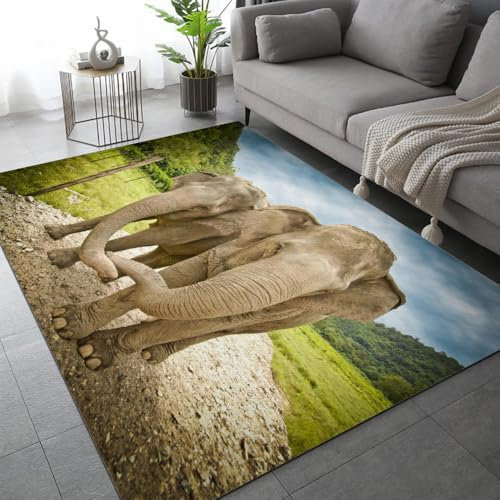 ARiXIaNg Elefant Teppich Kinderteppich Modern 3D Afrika Tiere Teppich Schlafzimmer rutschfeste FußMatte Kinder Teenager Kurzflor Teppiche FüR Flur Wohnzimmer Boden Teppich 80x120 cm