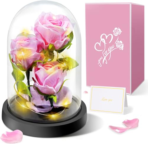 Touloube Rose Eternelle sous Cloche Cadeau Femme - 3 Rose de Soie Rose, Rose Dôme en Verre Fleur Artificielle avec LED Lumières, Cadeau pour Petite Amie,Femme,Maman