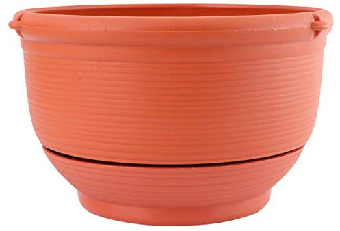Cabilock 1pezzi Cesto Da Parete in Resina Per Piante Verdi Cesto Portaoggetti Sospeso Per Vaso Da Fiori Organizer Per Piante Assorbimento Automatico Acqua Per Camera Da Letto Soggiorno Cuci