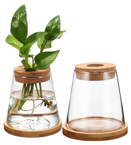 SOIMISS 2 pièces Vase Hydroponique Transparent avec Support Station de Propagation pour Plantes Dintérieur Décor Élégant et Facile à Utiliser