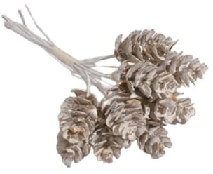 20 Stück Künstliche Tannenzapfen Zweige,Künstliche Kiefernzweige 11cm Hängende Zapfendeko Weihnachtsdeko für Weihnachtskränze Adventskranz Basteln,DIY Weihnachtsschmuck,Weihnachtsbaum Deko,Weiß