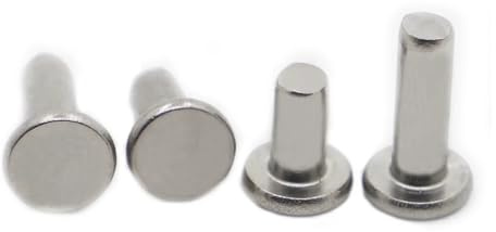 50 piezas de remaches sólidos acero inoxidable autoenchufables, pernos remache cabeza redonda plana GB109 M2 .5 M3 M4 M5 M6 lingli(M4 10pcs,8mm)