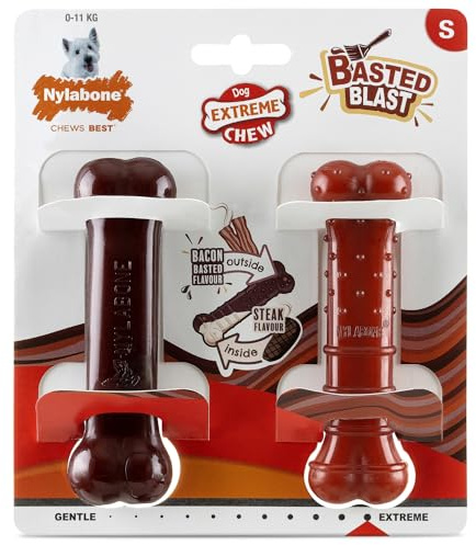 Nylabone Extreme Power Chew Basted Blast Dual Flavoured Dog Chew Toys Small/Regular - for dogs up to 11kg (2 Count)