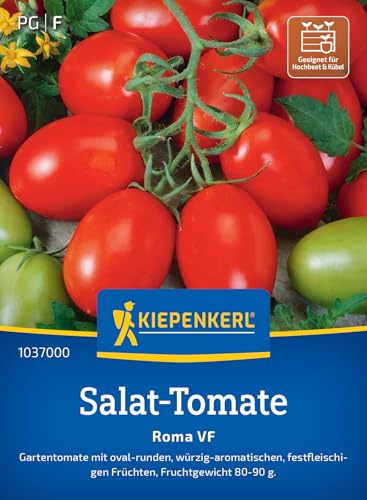 Kiepenkerl Salat-Tomatensamen Roma VF 1037000, Gemüsesaat | Pflaumen bis eiförmig, würzig & aromatisch, für Freiland, Gewächshaus & Topf