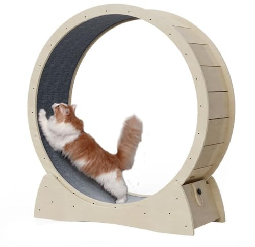 OZWYCY Katzenlaufrad Katzenlaufband Kleine Rolle, Keine Installation, Kein Platzbedarf, Katzenklettergerüst, Katzenlaufrad Aus Massivholz Katzenlaufrad für den Lnnenbereich(A,M)