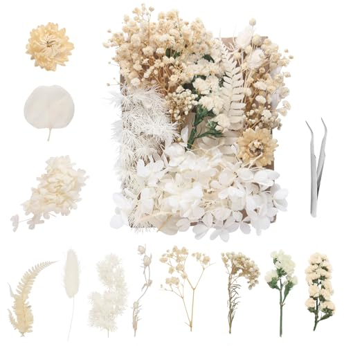 Aotfusd Trockenblumen, Getrocknete Blumen, Trockenblumen Zum Basteln Trockenblumen weiß Set trockenblumen für Kerzen DIY Epoxidharz Scrapbook Zubehör Handgemachte Hochzeit Heimdekoration