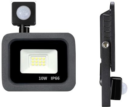 Sensor de movimiento PIR LED, reflector LED for exteriores, proyector LED de 220V, 100W, 50W, 30W, 20W, 10W, lámpara for exteriores, detector de movimiento(COLD WHITE_20W)