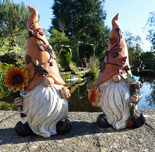Harvey and Harry Garden Gonks 25cms - Gnomes - Garden Characters